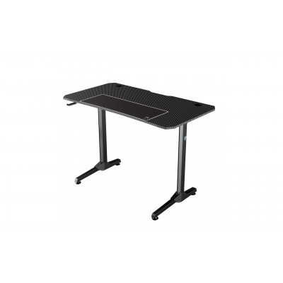 Bureau Gamer R-DESK 110