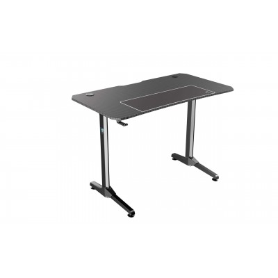 Bureau Gamer R-DESK 110