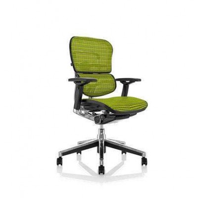 Siège de bureau ERGOHUMAN PLUS ELITE - 1