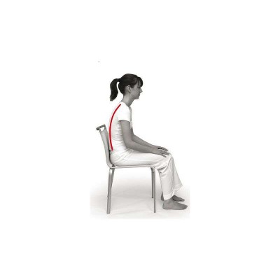 Coussin d'assise triangulaire SISSEL® SIT STANDARD