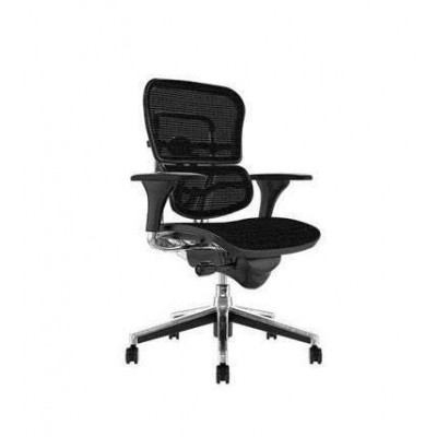Siège de bureau ERGOHUMAN CLASSIC - 1