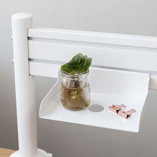 Shelf for Slatwall mounting rail