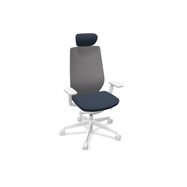 Siège ergonomique Axis Pro Design