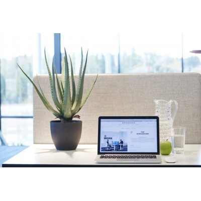 Plante artificielle en pot Aloe Vera 160007 Bien-être