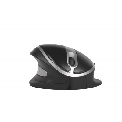 Souris ergonomique Oyster filaire