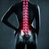 Outil de fitness innovant Spinefit SISSEL®-[product_reference]-Betterwork - Solutions ergonomiques - Télétravail