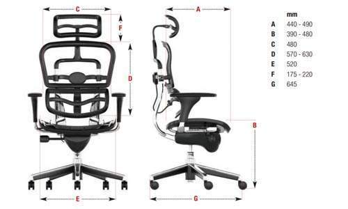 Dimensions du siège