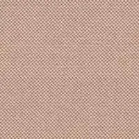 414 Pale Apricot